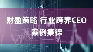 财盈策略 行业跨界CEO案例集锦