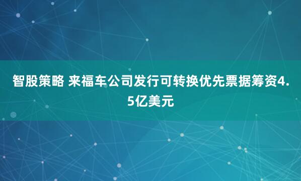 智股策略 来福车公司发行可转换优先票据筹资4.5亿美元